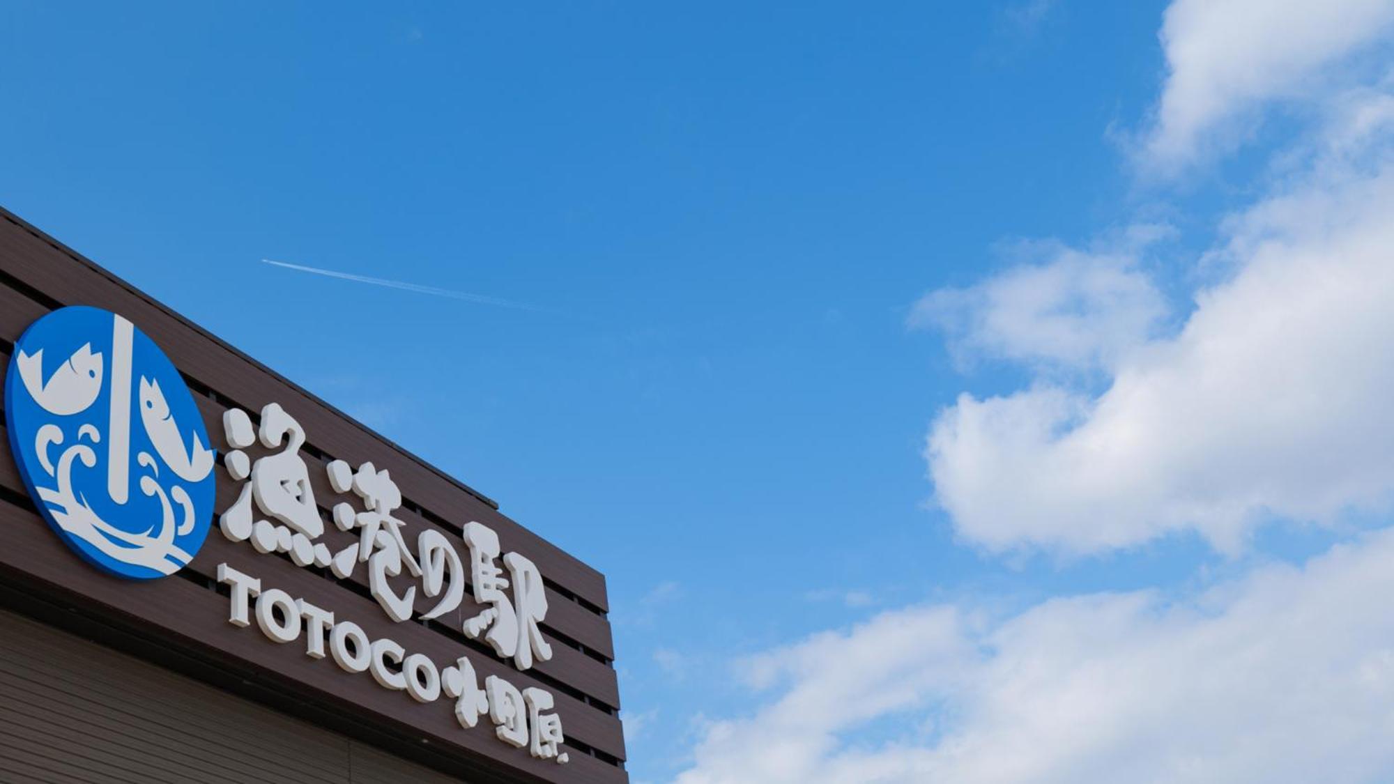 Toyoko Inn Odawara Eki Higashi Guchi Bagian luar foto